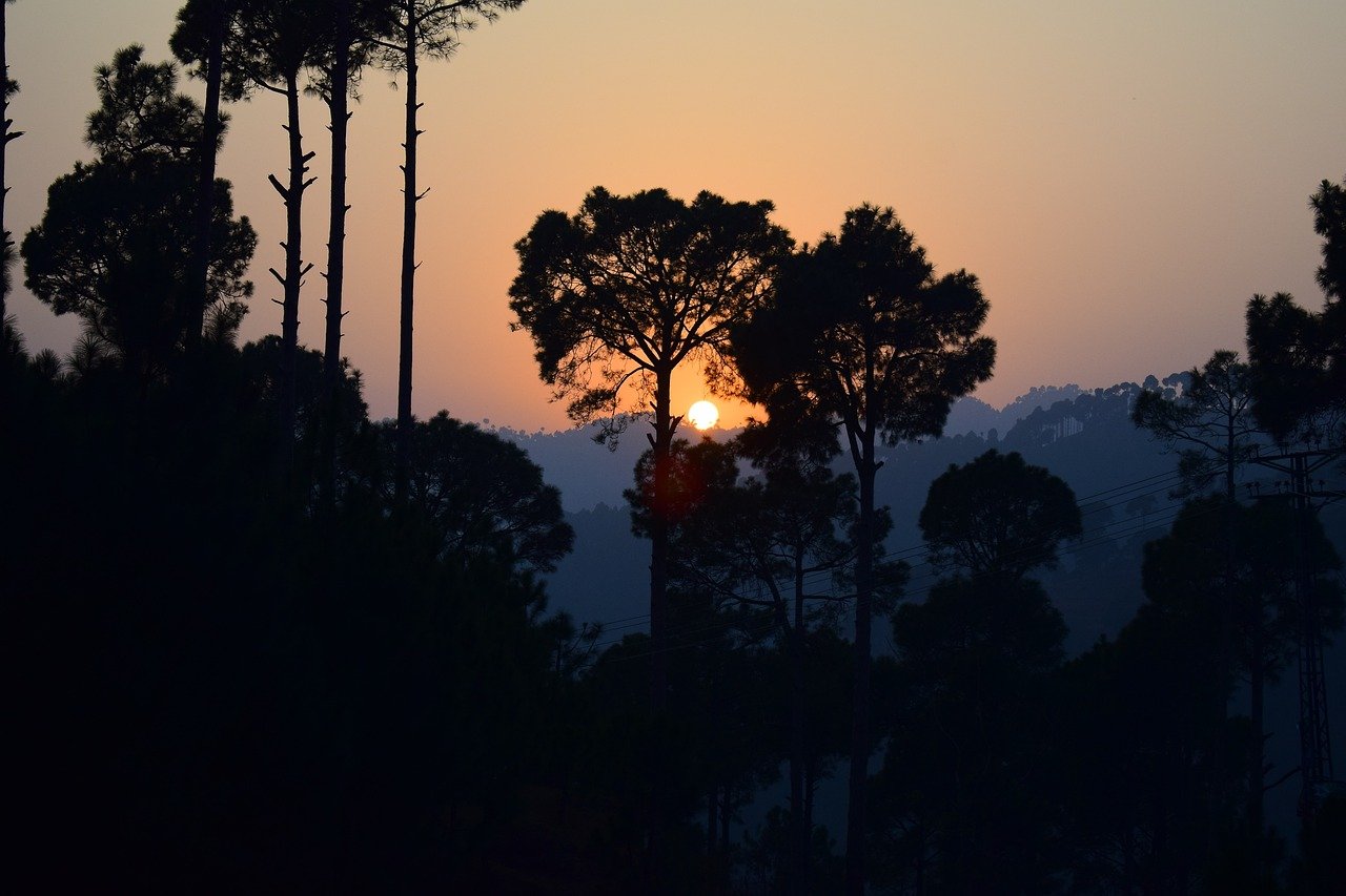 sunset, trees, mountains-2905233.jpg